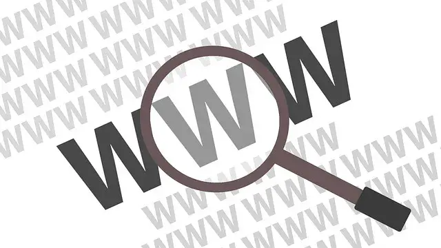 Apa Fungsi dan Kegunaan Domain Untuk Usaha Online?