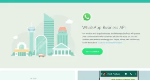 Inilah Keuntungan Fitur WhatsApp Business API